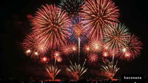 華やかな花火の祭典