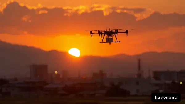 夕暮れの中を飛ぶドローン