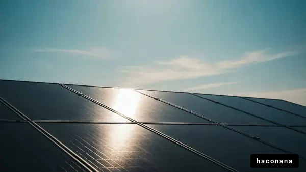 太陽光発電パネルの光