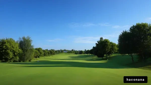 緑豊かなゴルフ場の風景