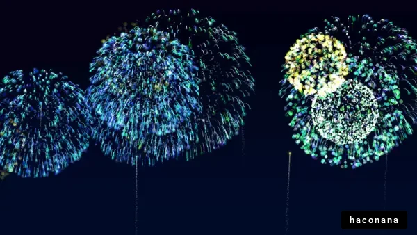 美しい花火のショー