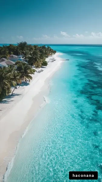 美しいビーチの風景