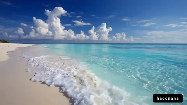 美しい海の風景