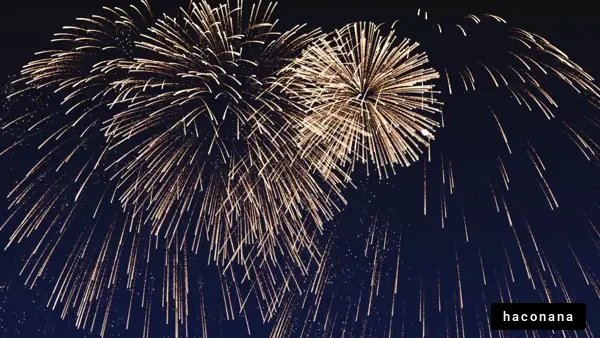 華やかな花火の夜空