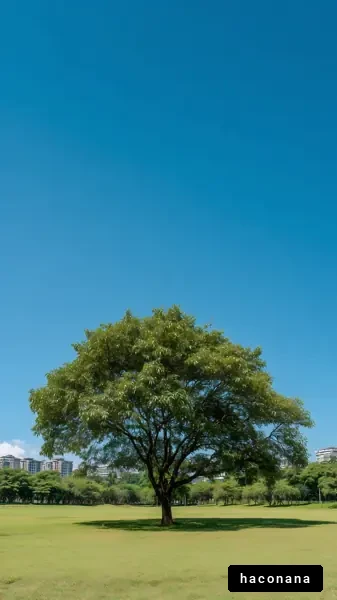 青空の下の大きな木