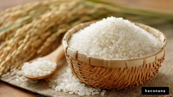 お米とその風景