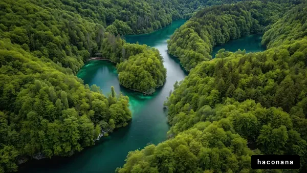 青々とした森林と河川