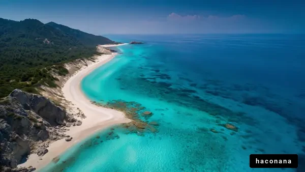 青い海とビーチの風景
