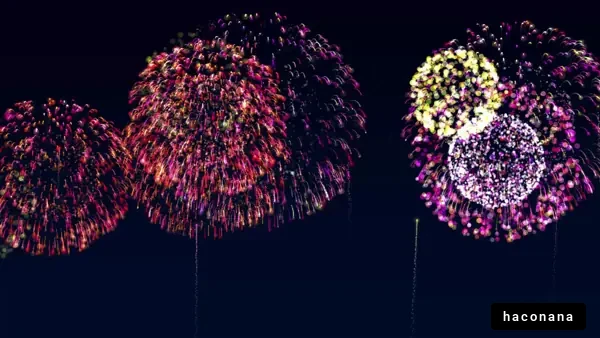 夜空に広がる花火