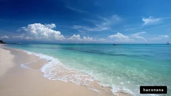 美しいビーチの風景