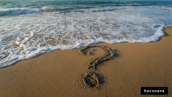 砂浜に描かれた疑問符