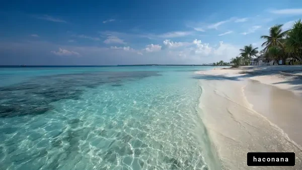 透明な海と白い砂浜